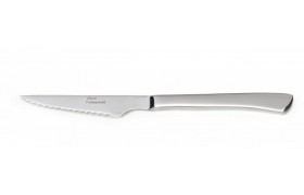 ZB 01 STEAK BIÇAK 22 cm